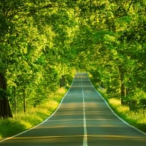 Meet your Posher, Umme